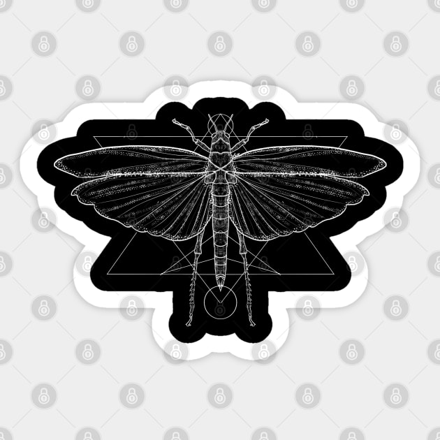 Grasshopper Sticker by NerdsEyeView